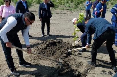 Меморандум в деле 