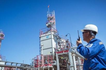 Что посоветует искусственный мозг?