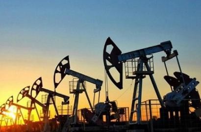 Забурились в цифру