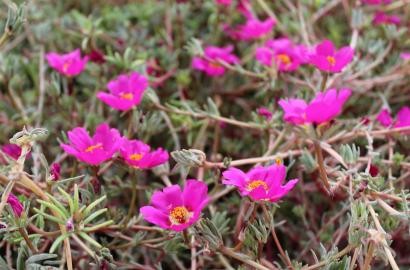 Предотвращение загрязнения почвы