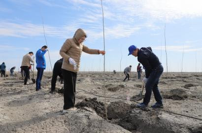 "Embamunaigas held a "Plant a Tree" event