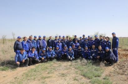 «Ембімұнайгаз» АҚ жұмысшылары 3 мыңға жуық көшет отырғызды