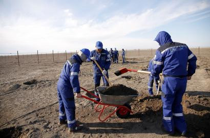 «Ембімұнайгаз» АҚ жұмысшылары 3 мыңға жуық көшет отырғызды