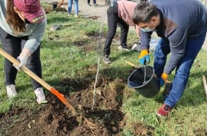Ембіліктер ҚР Президенті жариялаған республикалық тал егу акциясына белсене қатысты