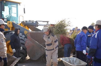 Работники АО «Эмбамунайгаз» высадили около 3 тысяч саженцев