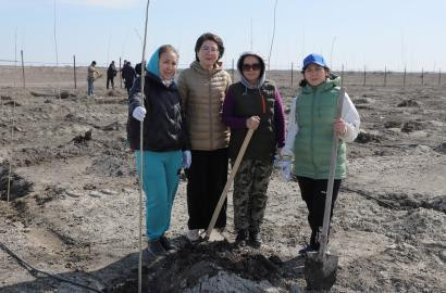 «Эмбамунайгаз» провел акцию «Посади дерево»  