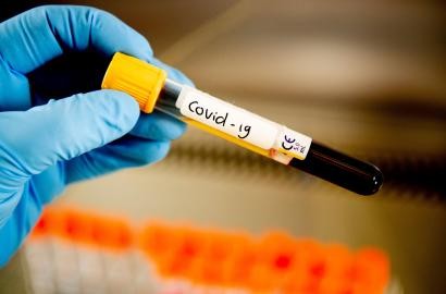 Не пустили вирус на вахту